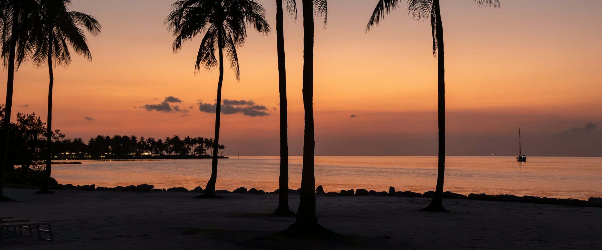 Palm trees silhouetted against a sunset over the beach.